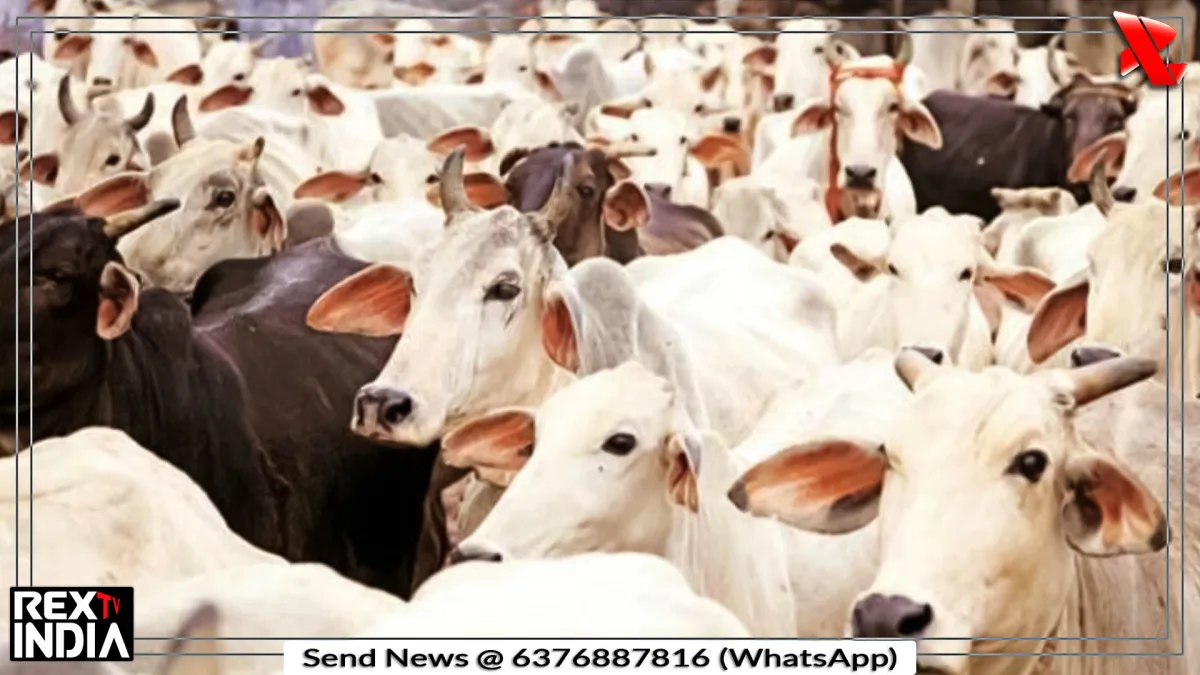 गौशालाओं की समस्याएं सुलझाने पर मंथन, साथ ही होगा संघ का चुनाव
