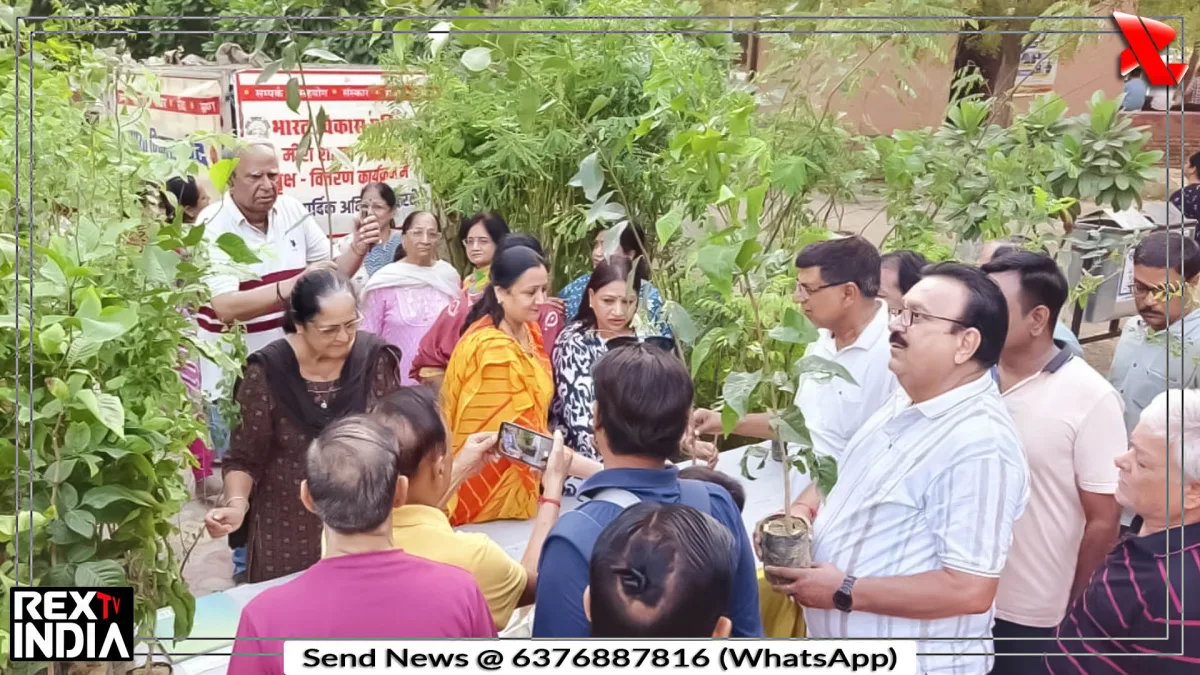 1000 पौधे मुफ्त बांटे, उमड़ी भीड़, तुलसी से फूलों तक पौधों की भरमार