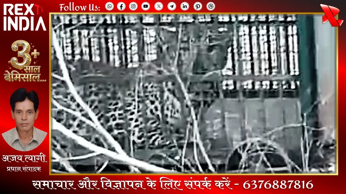 मारवाड़ के चांचोड़ी गांव में दहशत का अंत: पिंजरे में फंसा पैंथर