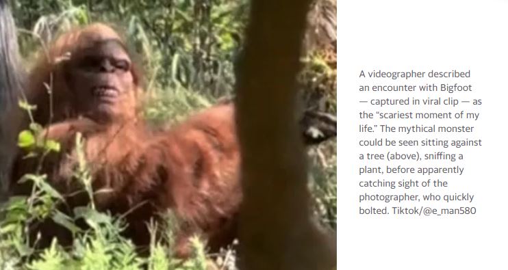 Bigfoot, viral video, hiker encounter