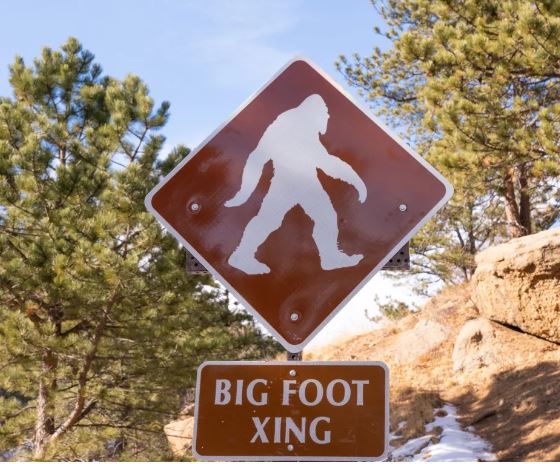 Bigfoot, viral video, hiker encounter